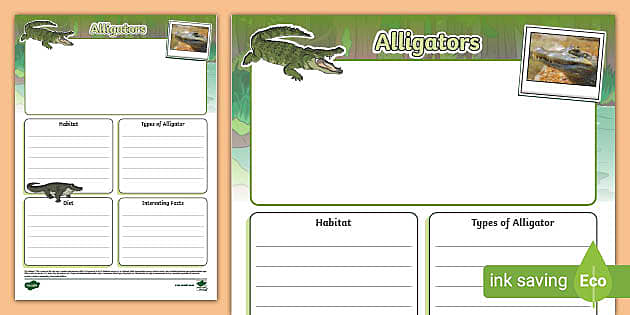 Alligator Fact File Template (teacher made) - Twinkl