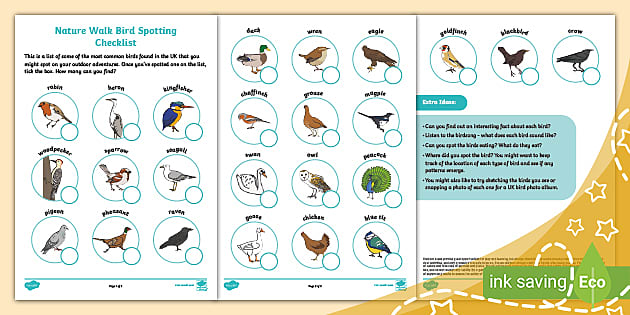 Nature Walk Bird Spotting Checklist