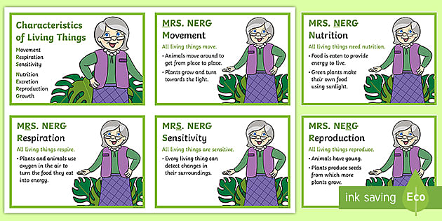 Mrs Nerg Ks2 Flash Cards Characteristics Of Living Things