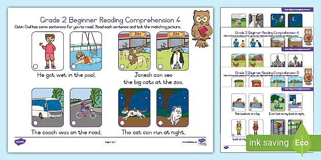 reading comprehension grade 2 beginner pack south africa