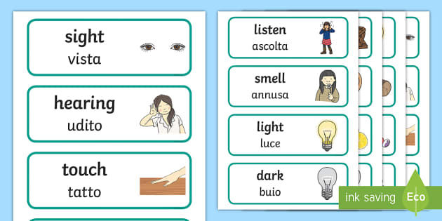 Senses Word Cards English Italian Teacher Made Twinkl