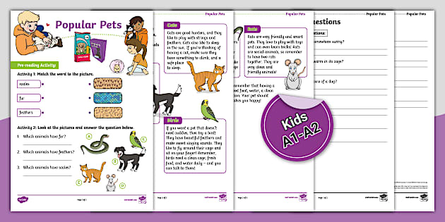 ESL Popular Pets Around the World Reading Comprehension [Kids, A1-A2]