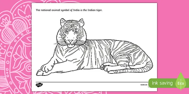Indian Tiger Colouring Page (teacher made) - Twinkl