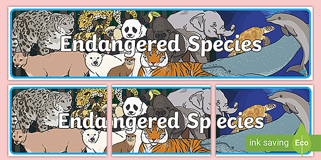 Endangered Species Display Banner (Teacher-Made) - Twinkl