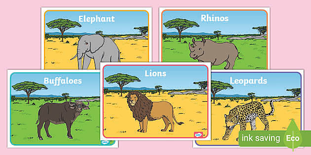 The Big Five African Animals Class Group Signs - - Twinkl
