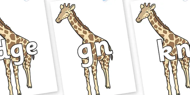 Giraffe Height Chart (teacher made) - Twinkl