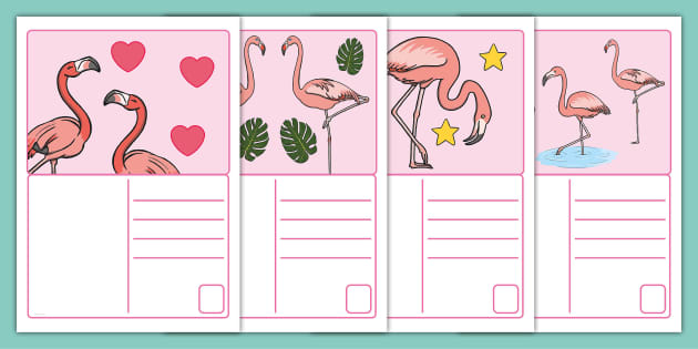 FREE! - Flamingo Postcards (teacher made) - Twinkl