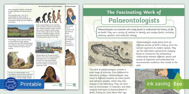 Paleontology Worksheet - Twinkl South Africa (teacher Made)