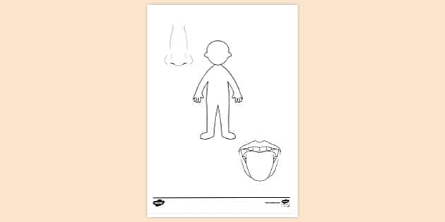 Body parts coloring page stock illustration. Illustration of artistic -  85739454