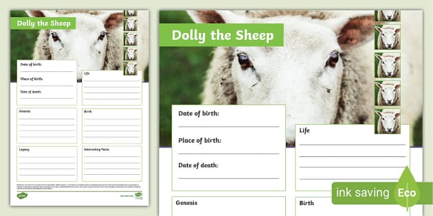 Dolly The Sheep Fact File Template - Twinkl