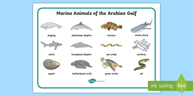 marine vertebrates