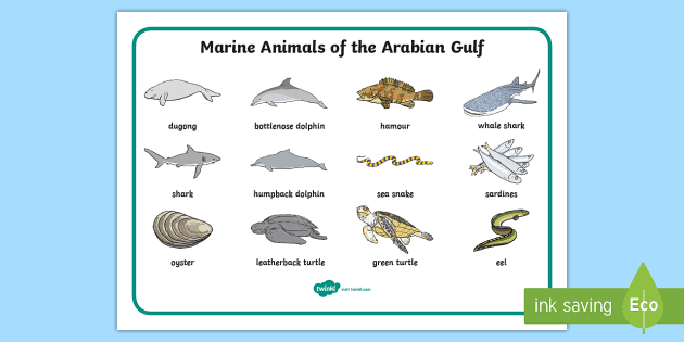 Marine Animals of the Arabian Gulf Word Mat (teacher made)