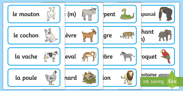 French Animal Vocabulary | Animal Names in French Word Cards