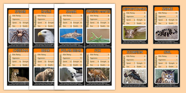 Animal Predators Top Trumps Printable Card Game - Twinkl
