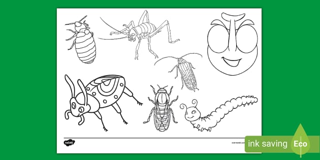 Bug Doodle Colouring Page (Teacher-Made) - Twinkl