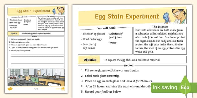 eggshell staining experiment