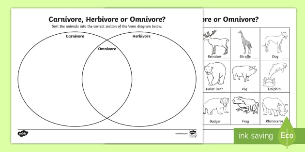Carnivores, Herbivores and Omnivores KS1 Worksheet - Twinkl