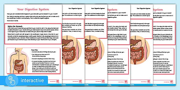 Interactive PDF: The Digestive System Differentiated Reading Comprehension interactive-pdf-the-digestive-system-differentiated-reading-comprehension