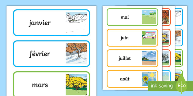 Cartes de vocabulaire : les animaux (Teacher-Made) - Twinkl