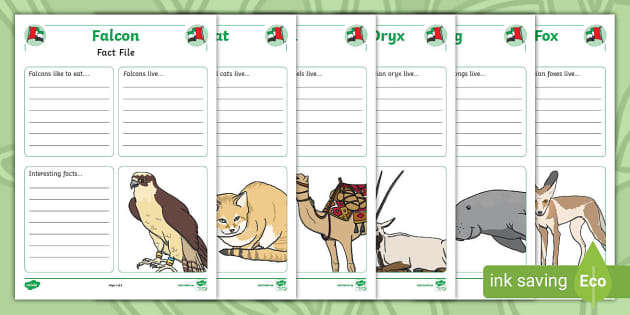 UAE Animals Fact File Activity (Hecho Por Educadores)