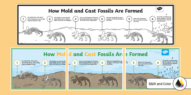 Formation of Mold and Cast Fossils Poster (teacher made)