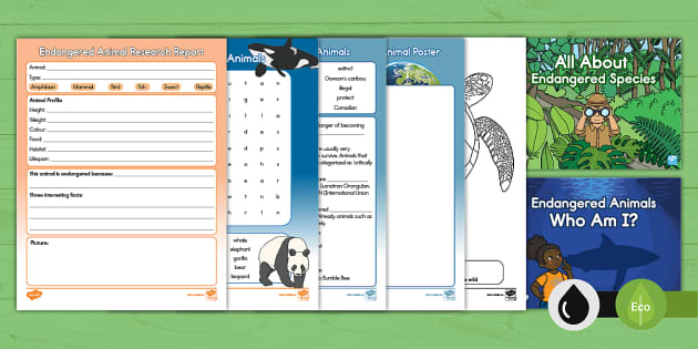 World Wildlife Day Primary Activity Pack (teacher Made)