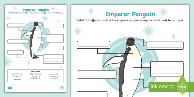 emperor penguin food chain