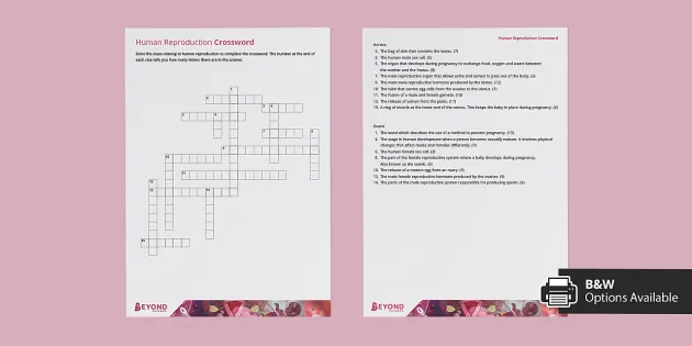 Human Reproduction Crossword | KS3 | Beyond (teacher made)