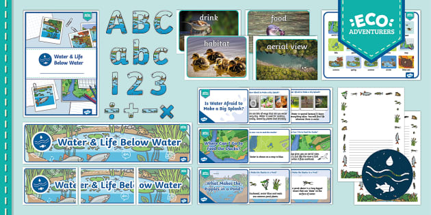 Year 1 Water & Life Below Water Display Pack (teacher made)