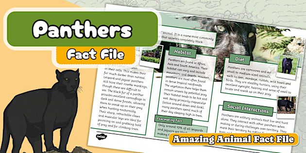 Repo Save File KS2 Panther Fact File