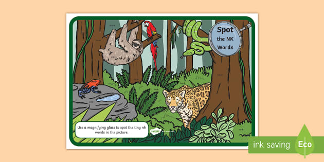 Phase 3 nk Words Animal Scene Magnifying Glass Worksheet