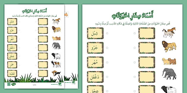 حمّل الآن نشاط أسماء صغار الحيوانات لتلاميذ المراحل الأولى.