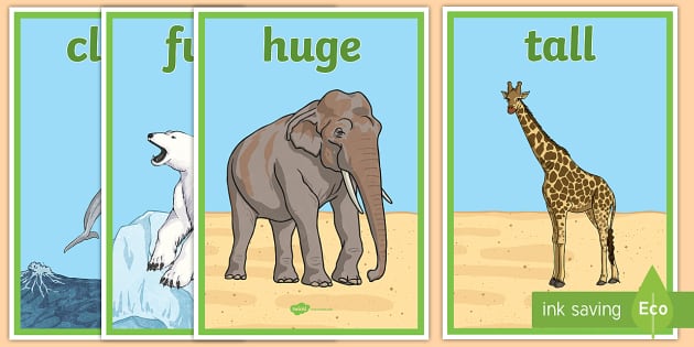 Zoo Animals Adjectives Display Posters (teacher made)