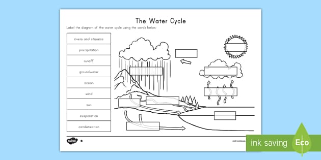 The Water Cycle Differentiated Worksheet / Activity Sheets