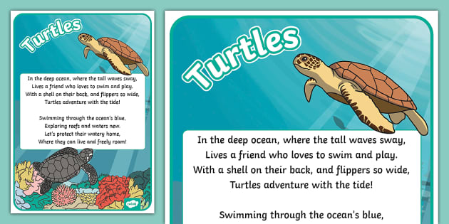 Turtle Poem Example (teacher made) - Twinkl