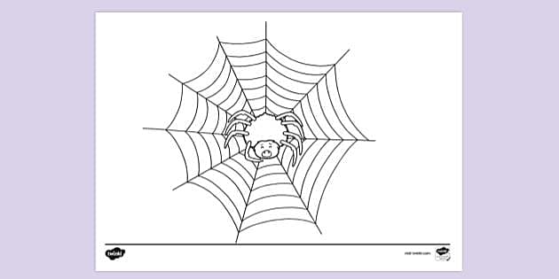 Charlotte S Web Colouring Page Colouring Sheets