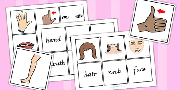 Parts Of The Body Word And Picture Matching Cards - Body Parts