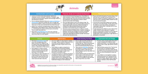 eyfs-reception-topic-planning-web-animals-twinkl-twinkl