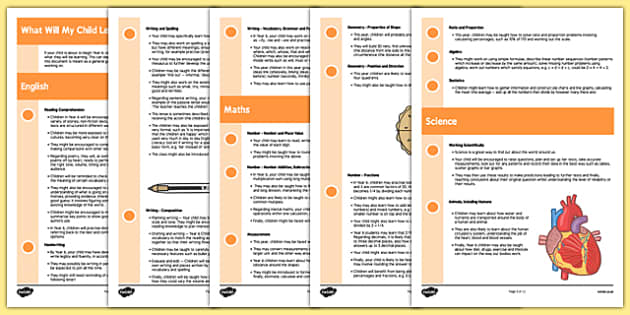 what-will-my-child-learn-in-year-6-information-sheets