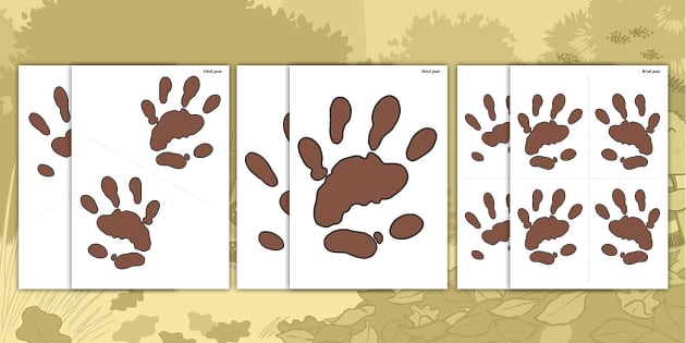 Hedgehog Paw Print Cut-Out Template | Twinkl | KS1 / EYFS