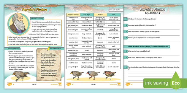 Darwin Finches Comprehension PDF - 5-6 - Science - Twinkl