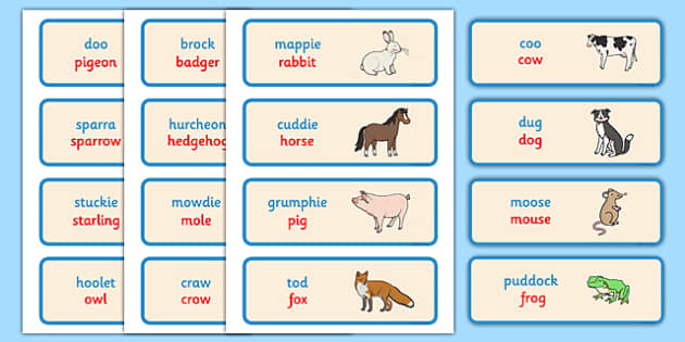 Scots Doric Animal Words Cards Teacher Made Cfe Resource