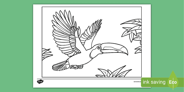 rainforest toucan flying coloring pages
