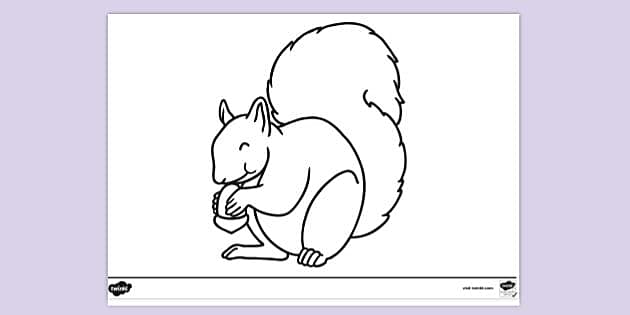 eastern gray squirrel drawing