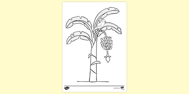 How to Draw a Banana Tree - Step by Step Easy Drawing Guides - Drawing  Howtos-saigonsouth.com.vn