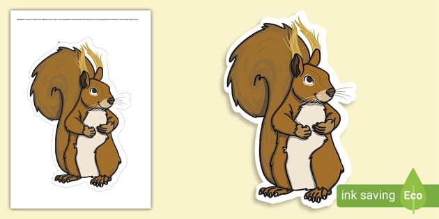 Squirrel Display Cut-Out, Squirrel, Squirrels - Twinkl