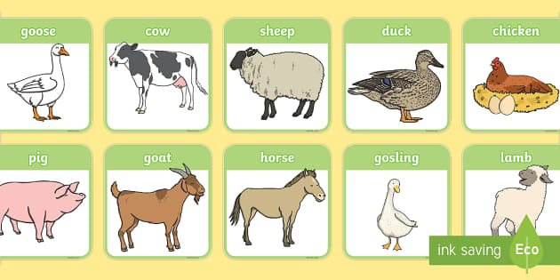 Farm Animals Flashcards Printable Primary Resources