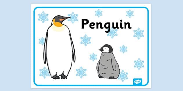 FREE! - Penguins Poster for Kids | Primary Resources