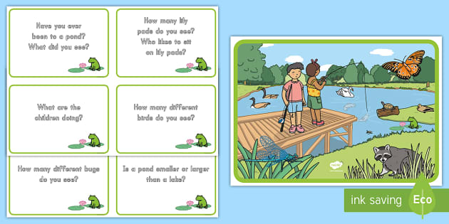 Pond Scene And Question Cards Teacher Made