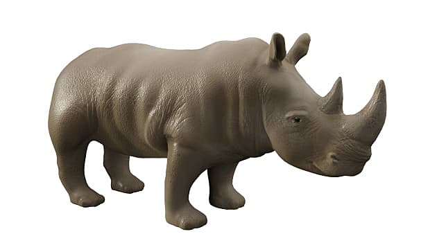 3D Model: Mammals - White Rhinoceros (teacher made) - Twinkl